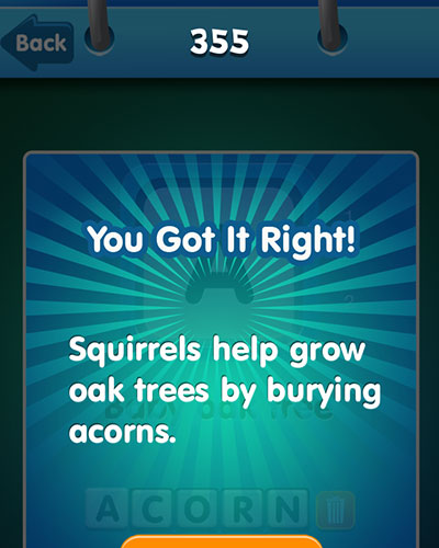  acorn 