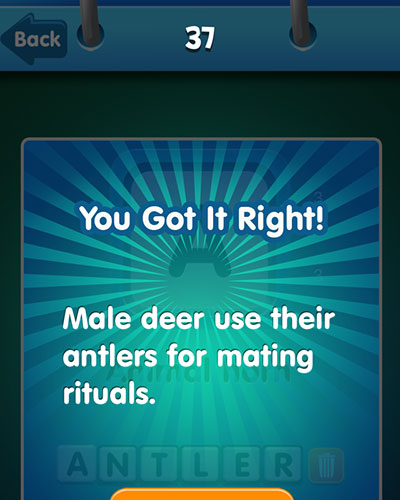  Antler 