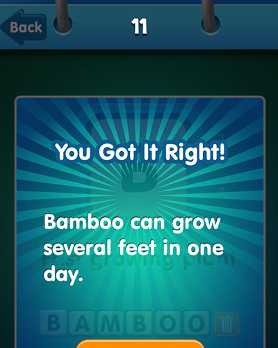  Bamboo 