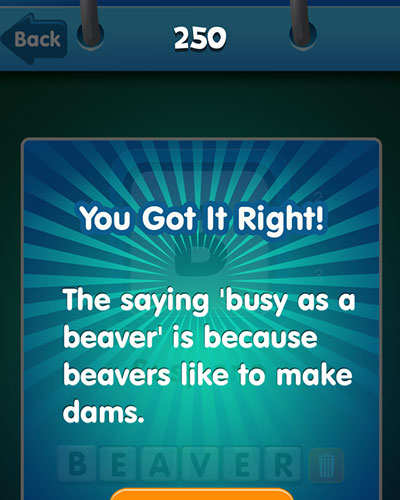  Beaver 