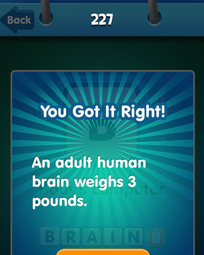  Brain 