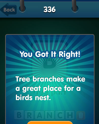  branch 