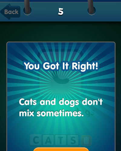  Cats 