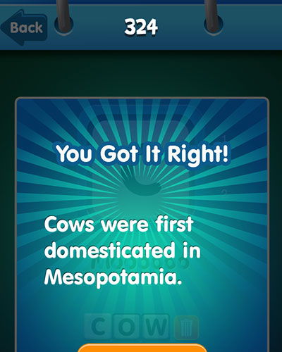  Cow 