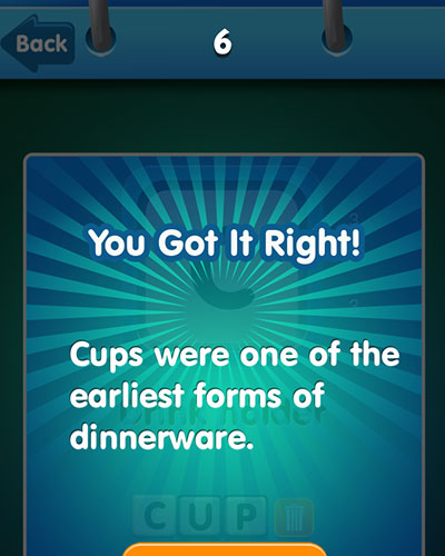  Cup 