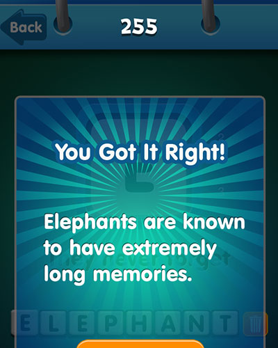  Elephant 