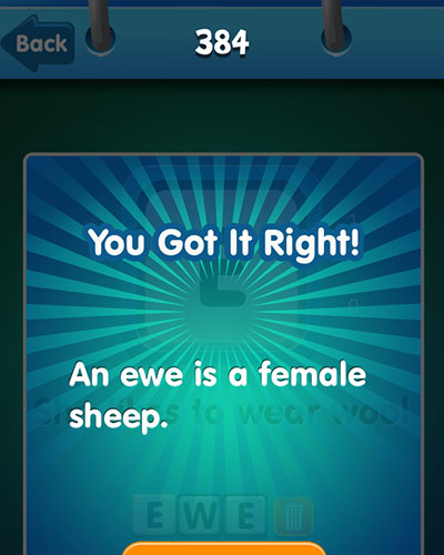  ewe 