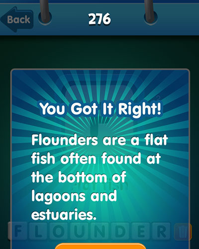 Flounder 