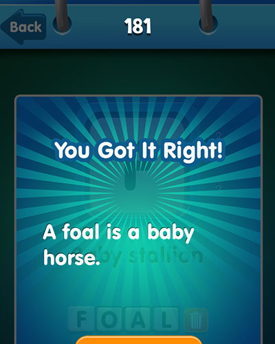  Foal 