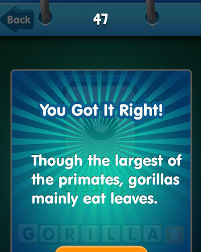  Gorilla 