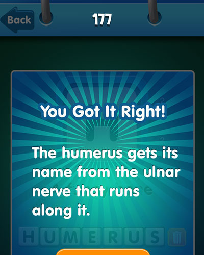  Humerus 