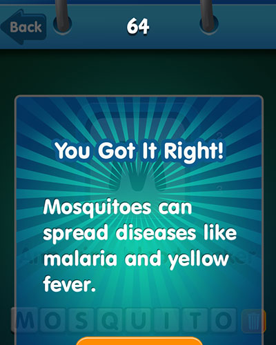  Mosquito 