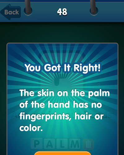  Palm 