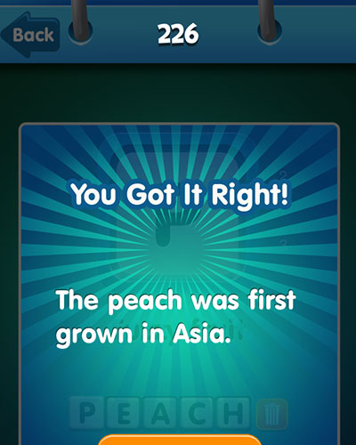 Peach 