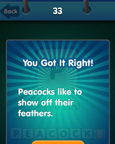  Peacock 
