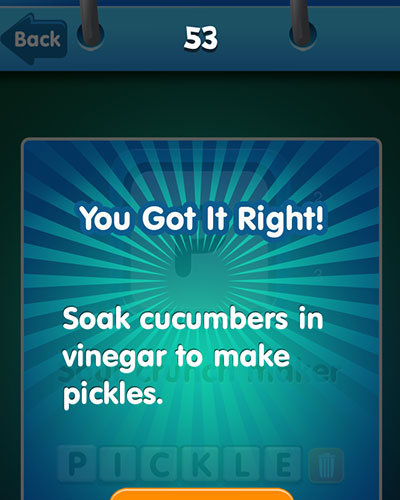  Pickle 