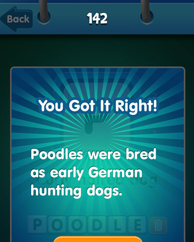  Poodle 