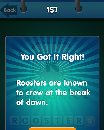  Rooster 