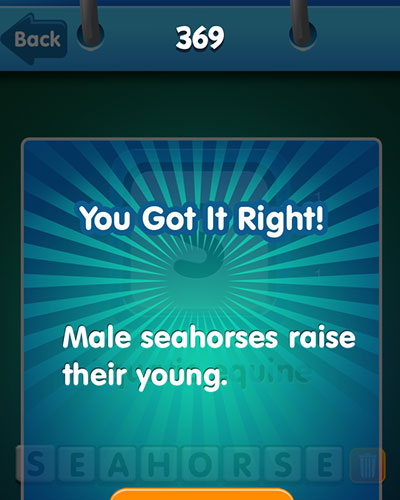  seahorse 