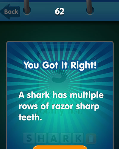  Shark 