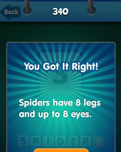  spider 