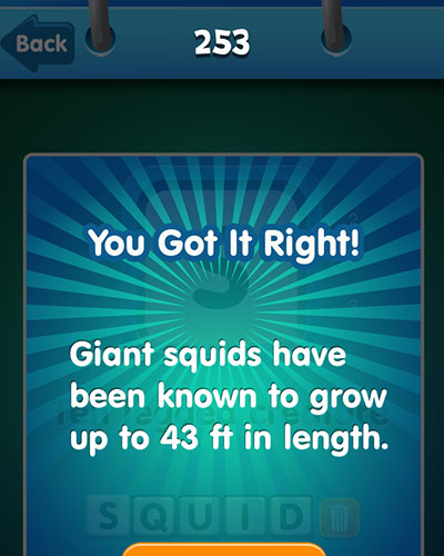  Squid 