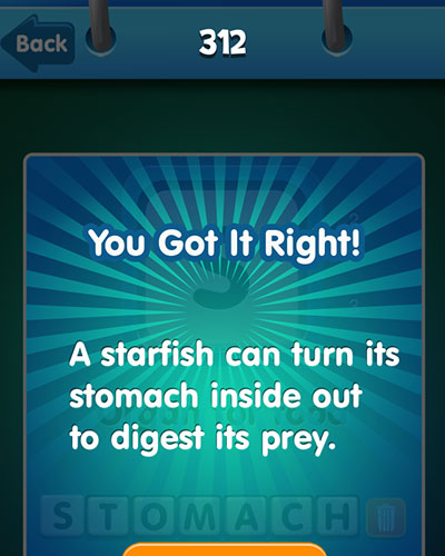  Stomach 