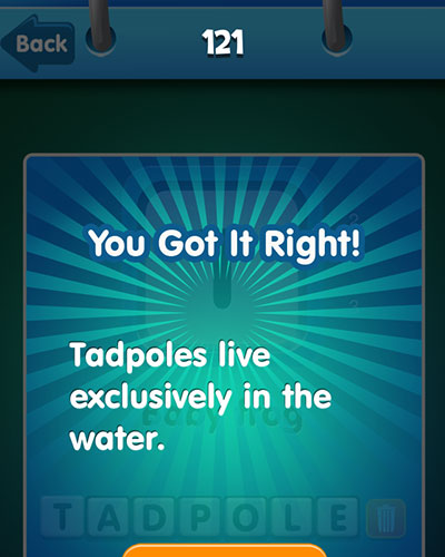  Tadpole 