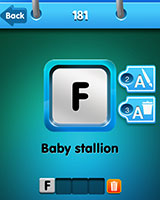  Foal 