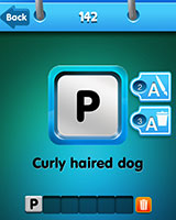  Poodle 