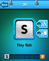  Sardine 