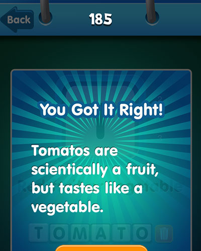  Tomato 