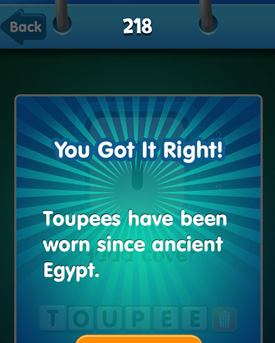  Toupee 