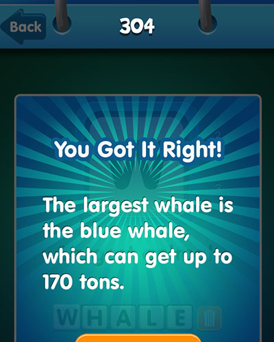  Whale 